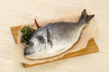 Fototapeta premium raw dorada fish