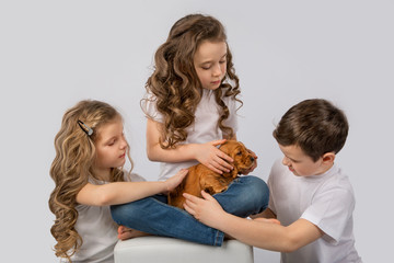 Children with red puppy isolated on white background. Kid Pet Friendship