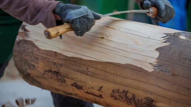 A young man has just started to chisel a new tree trunk. He is working very fast and is very strong for this particular type of job.
