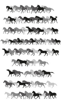 Set of vector horses silhouettes in black and grey