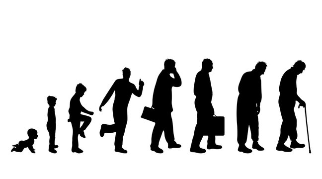 Vector illustration of generation of man.