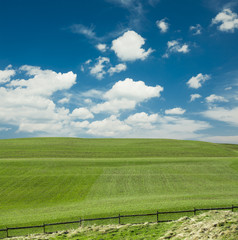 Fototapeta premium Green grass field and the sky in Switzerland