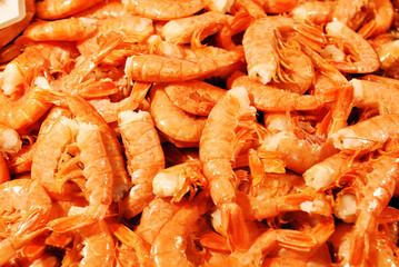 shrimp on the counter market