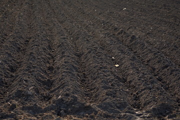 Arable land dug up for planting straight strip