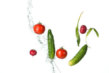 The fresh tomatos, cucumbers, radish in spray of water.