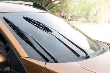 Windscreen wipers at the car protect from water