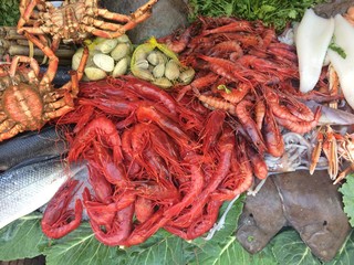 Fresh various raw alive seafood on ice 