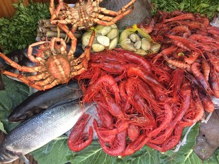 Fresh various raw alive seafood on ice 