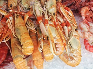 Fresh raw alive seafood shrimps on ice