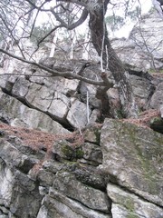 travel, nature, landscapes, trees, water, stones