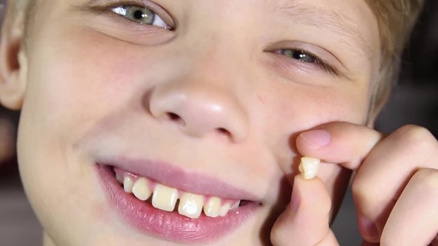 Closeup portrait of happy child showing his milk tooth after loosing it. Boy looking at camera cheerfully. Real time full hd video footage.