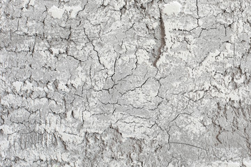 silver grunge texture
