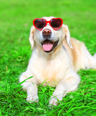 Portrait happy Golden Retriever dog in a sunglasses is lying on the grass summer