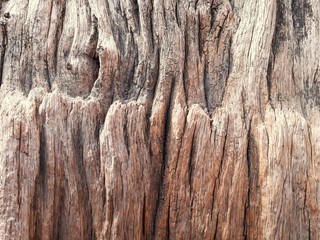 Closeup dried and old wood background.