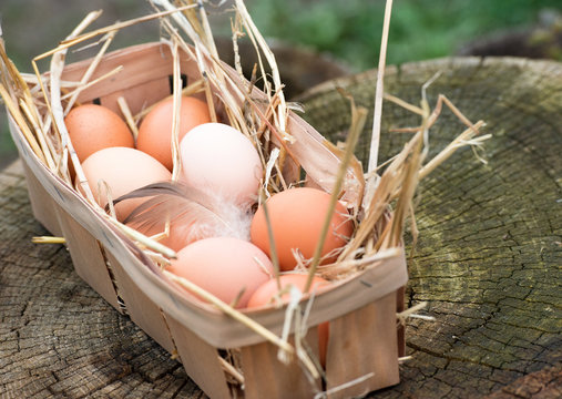 Closeup of egg in a basket. Top view of eggs in bowl. Brown eggs in wooden bowl. Chicken and Hen Egg basket