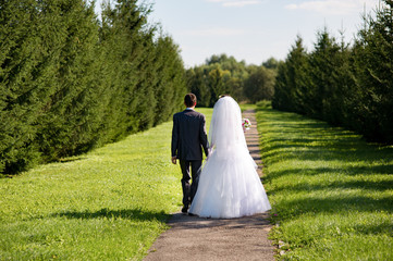 Young wedding couple walking together at the alley. Back view