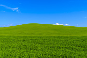 Countryside landscape around Pienza in Tuscany