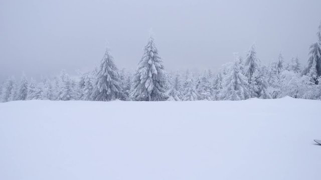 Terrible misty weather on slope in winter mountains. Few skiers down hill skiing. Winter mountain ski resort in terrible fog and snowing, skiers enjoying fresh powder snow on piste in mist and cold. 