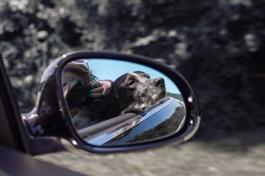 A dog and his owner driving in cabrio and taking photos in the rearview mirror