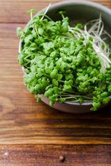 Mustard microgreen salad in metallic bowl on wooden background