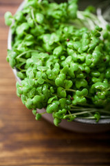 Mustard microgreen salad in metallic bowl on wooden background