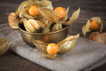 Kapstachelbeere (Physalis)