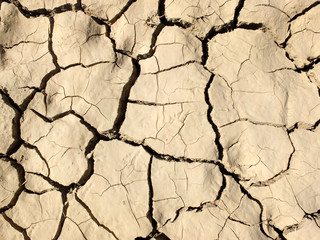 Dry cracked ground 