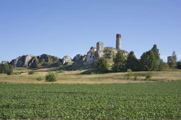 Ruiny zamku z XIV wieku