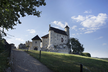 A royal castle from the 14th century
