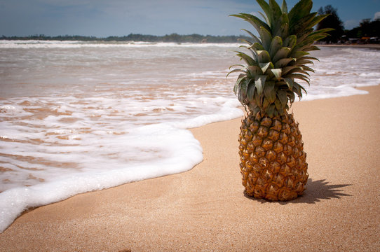  Pineapple On The Sand