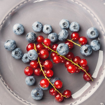 Fresh summer wild blueberries and red currants berries on rustic plate