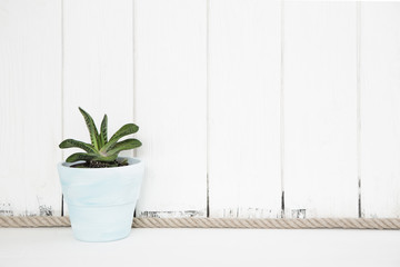 Grauer Shabby Chic weißer Holz Hintergrund mit Zimmerpflanze als Dekoration für Werbekonzepte