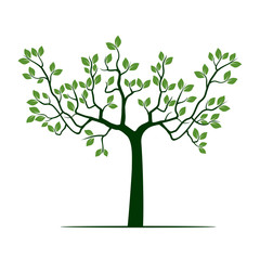 Obraz premium Green Tree with Leafs. Vector Illustration.