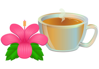 Hibiscus or gumamela tea vector image