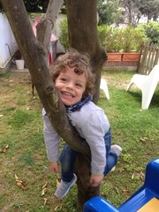 Bel bambino gioca su albero