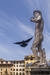 A flying bird passes by the replica of Michelangelo's famous statue of David, Piazza della Signoria square, Florence, Italy