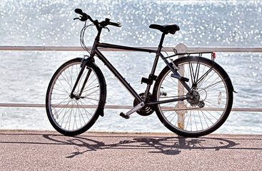 A man's bicycle propped against railings on the seafront with bright sun-dappled sea in the background.