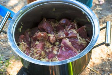 Man cooking marinated shashlik