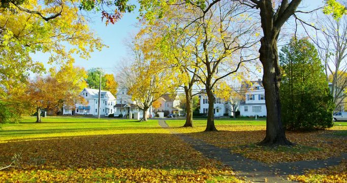 Leaves changing color during fall time in Branford, Connecticut. 