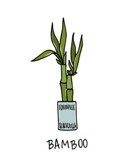 Hand drawn houseplant