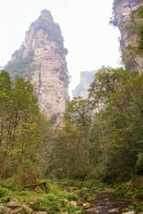 Fototapeta na wymiar Mountain landscape with forest