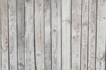 Fototapeta premium white old wooden fence. wood palisade background. planks texture, weathered surface