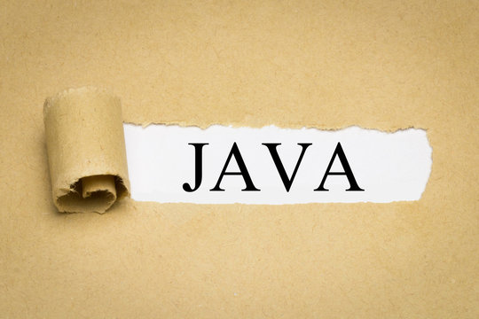Java - computer programming language