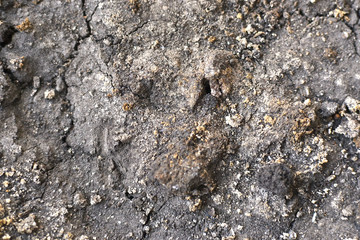 Texture of soil surface with cracks
