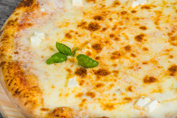 Pizza with cheese, with rosemary and spices on a light wooden background. Italian pizza on a background of green basil and fresh vegetables