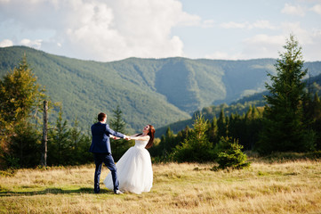 Lovely wedding couple at amazing landscapes of Carpathian mountains.