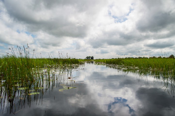 Mokoro Canoe Trip in the Okavango Delta near Maun, Botswana