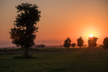 Fototapeta na wymiar magical sunrise with tree