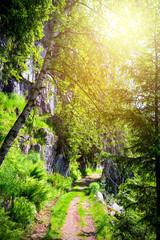 Obraz premium Tough High Mountain Road