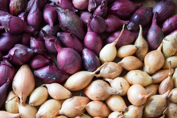 Onion for sowing. Onions background.